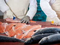 Переработка рыбы, морепродуктов Переработка рыбы, морепродуктов
