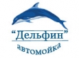 Дельфин (ИП Морозов Д.В.)