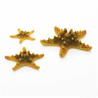 Декорация для аквариума biOrb Морская звезда Sea Star (желтый)