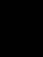 Пленка цветная самоклеящаяся ColorDecor 2024х24 0.45х8 м (Однотон), Китай, код 0750300097, штрихкод 692240222024, артикул 2024