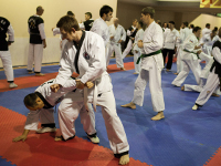 Школы боевых искусств