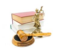 Услуги адвоката - споры с федеральной антимонопольной службой (ФАС России)