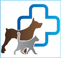 Ветлечение. Кесарево сечение собаки более 40 кг (Без стоимости расходных материалов)
