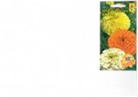 Семена Бархатцы Купид смесь прямост. махр (0,2гр Ц/П), РОССИЯ, код 31305020361, штрихкод 462712002333