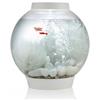 Аквариум biOrb Classic 30 LED white