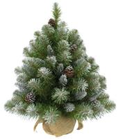 Новогодняя елка Triumph Tree Императрица с шишками 60 см В мешочке заснеженная