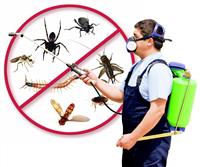 Услуги дезинсекции (дезинсекция, уничтожение) клопы, блохи, тараканы и другие насекомые с выездом