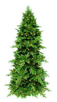 Новогодняя елка Triumph Tree Сосна Изумрудная 500 см 1400 ламп зеленая