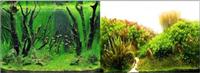 Двусторонний фон для аквариума Nature 60см, Коряги с растениями / Растительные холмы
