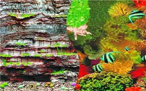 Двусторонний фон для аквариума Nature 30см, Камни скалистая стена/Морской кораллы, рыбы