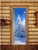 Дверь для сауны DoorWood (Дорвуд) 70x170 Престиж Фотопечать A079 правая
