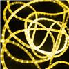 Дюралайт светодиодный Rich Led RL-DL-2WH-100-240-Y, желтый
