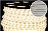 Дюралайт светодиодный Rich Led RL-DL-2WHM-100-240-WW, теплый белый