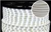 Дюралайт светодиодный Rich Led RL-DL-2WHM-100-240-W, белый