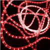 Дюралайт светодиодный Rich Led RL-DL-2WH-100-240-R, красный