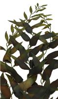 Растение для аквариума Vitality Морские водоросли 60см (KP001-60)
