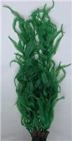 Растение для аквариума Vitality Морские водоросли 60см (SH232H-60)