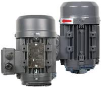 Двигатель для насосов Etatron 0,25 kW, 230/400В 50Гц, 3ф