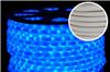 Дюралайт светодиодный Rich Led RL-DL-2WHM-100-240-B, синий