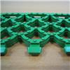 Коврик грязезащитный Орикс 10, зеленое