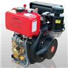 Двигатель Lifan 178FD Diesel, d-25 мм