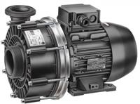 Насос без префильтра Speck Badu 21-50 44G-AK-SSV, 380 В