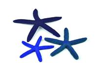 Декорация для аквариума biOrb Морская звезда Starfish (синий)