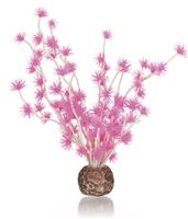 Растение для аквариума biOrb Бансай шарик розовый