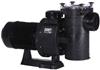 Насос с префильтром Hayward HCP 401003E1 (380V, 115,6 куб.м/ч)