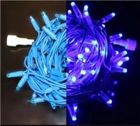 Гирлянда-нить светодиодная Rich Led 10 м, 100 LED(синий), синий резиновый провод, 24В