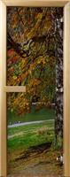 Дверь для сауны Maestro Woods (Маэстро Вуд) 60x190 с фотопечатью Березка, правая