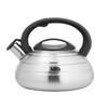 Чайник металлический Lara lr00-80 ss 3.0л