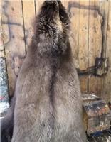 Выделка шкуры медведя в Новосибирске