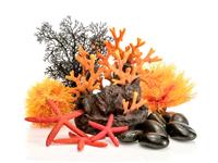 Композиция из искусственных растений для аквариума biOrb Оранжевое пламя