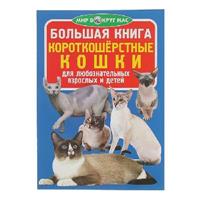 Книга Короткошерстные кошки