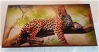 Нарды большие 58 см Леопард