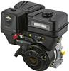 Двигатель Briggs&Stratton 10 л.с, 19L2320314F1AX7001