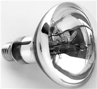 Лампа накаливания NomoyPet 14х9.5 см, 80 Вт, солнечного света