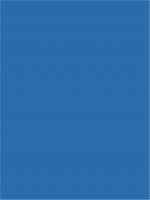 Пленка цветная самоклеящаяся ColorDecor 2010х24 0.45х8 м (Однотон), Китай, код 0750300099, штрихкод 692240222010, артикул 2010