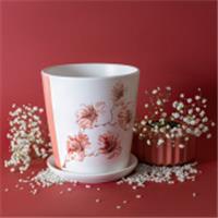 Кашпо Каприфоль (брусника) № 3 (D15) Конус, Россия, код 40401080057, штрихкод 463019000420 