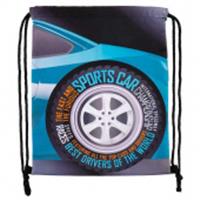 Сумка для обуви Кокос 36х44см Sports Car 230226 1 отделение, Китай, код 56031140430, штрихкод 461008255921