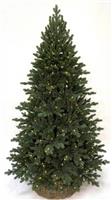 Новогодняя ёлка Triumph Tree Шервуд премиум 185 см (литая) 200 ламп зелёная