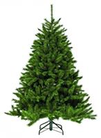 Новогодняя ёлка Triumph Tree Лесная красавица 200 см зелёная
