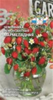 Земляника Мармеладная 0,04г (СеДек), РОССИЯ, код 31303420003, штрихкод 469036801595, артикул