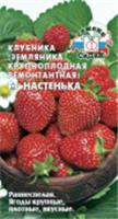 Земляника Настенька F1 ремонтантная (СеДеК) цв, РОССИЯ, код 31303050005, штрихкод 469036801089, артикул