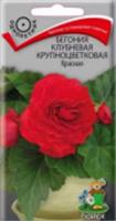 Семена Бегония Крупноцветковая Красная 10шт (Поиск), РОССИЯ, код 3130502797, штрихкод 460188732682 