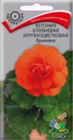 Семена Бегония Оранжевая 5шт, крупноцветковая (Поиск), РОССИЯ, код 3130502787, штрихкод 460188732683 