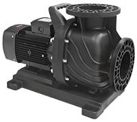 Насос без префильтра AquaViva LX WLP 750T