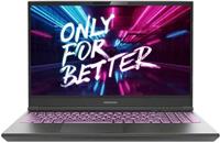 Ноутбук Игровой Maibenben x525/x525fsfnlgre0/core i5-12450h/16gb/512gb/15.6 fhd ips/rtx 4060 8gb/linux серый