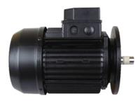 Двигатель к насосу KAN-750 (400/700В) Kripsol Т2.В